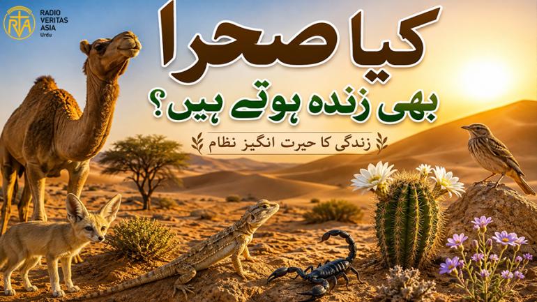  کیا صحرا بھی زندہ ہوتے ہیں؟