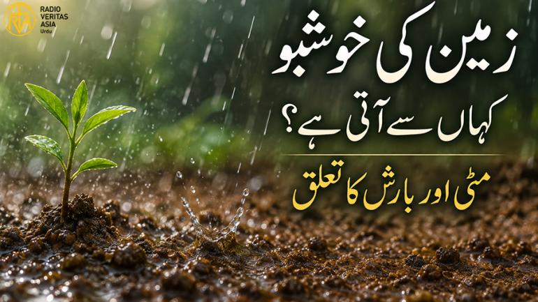 مٹی اور بارش کا تعلق