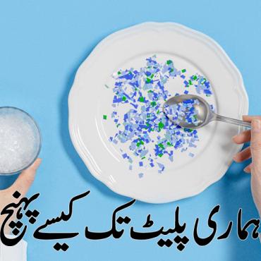  پلاسٹک ہماری پلیٹ تک کیسے پہنچ رہا ہے؟ 