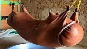 غاڑکہ