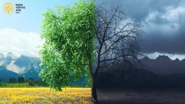 جنگ اور مسلح تصادم میں ماحولیات کے استحصال کی روک تھام کا عالمی دن