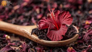  قدرتی حسن اور صحت کا حسین امتزاج