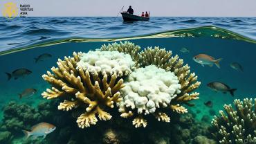 مرجانی چٹانیں خطرے میں 