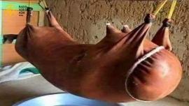 غاڑکہ