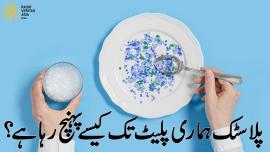  پلاسٹک ہماری پلیٹ تک کیسے پہنچ رہا ہے؟ 