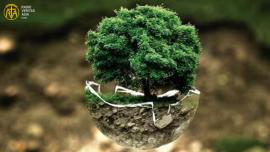  زندگی، ماحول اور پائیدار ترقی کے لیے جنگلات کی اہمیت