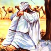  مست توکلی