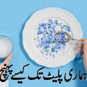  پلاسٹک ہماری پلیٹ تک کیسے پہنچ رہا ہے؟ 