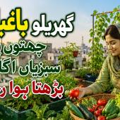  چھتوں پر سبزیاں اْگانے کا بڑھتا ہوا رجحان